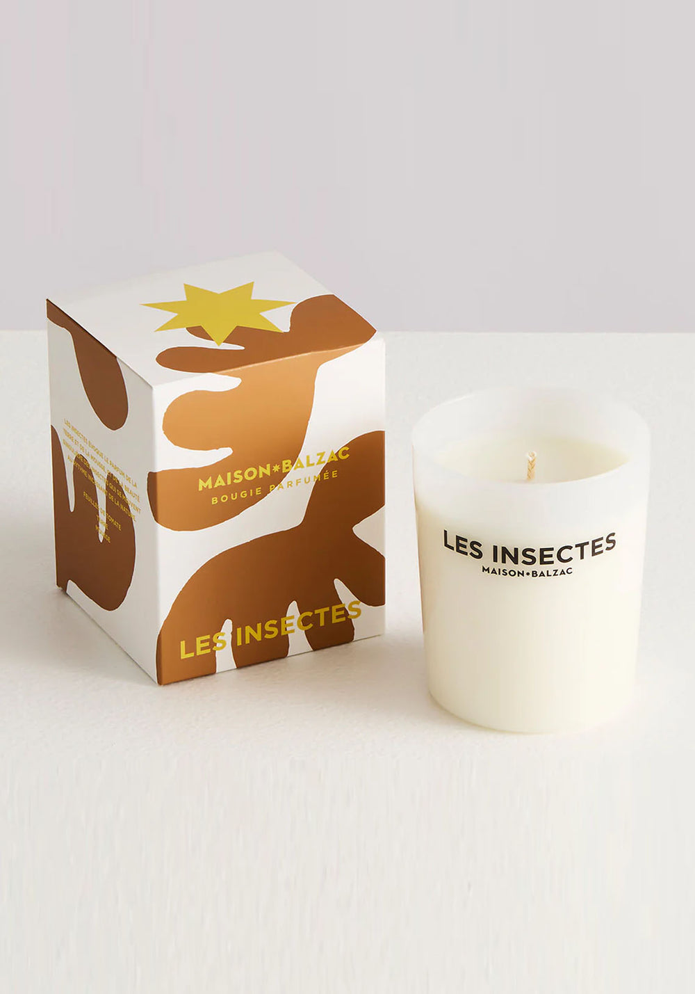 LES INSECTES LARGE CANDLE