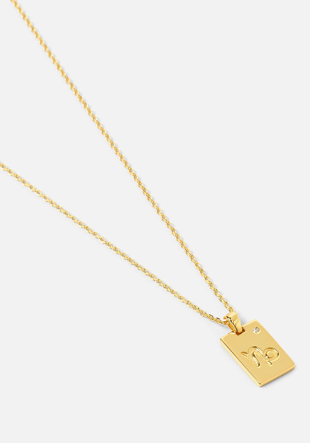 Capricorn Zodiac Gold Tag Necklace