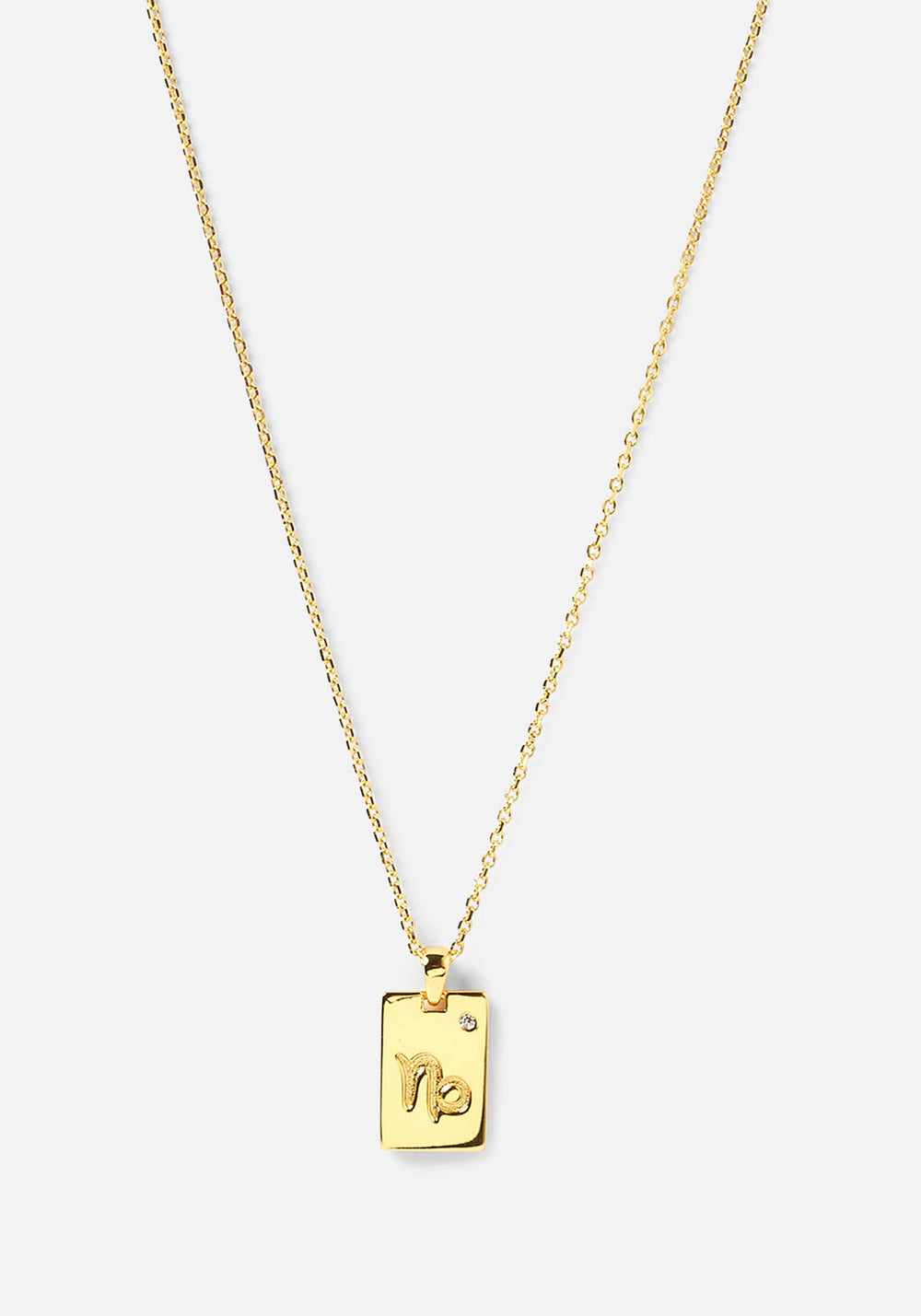 Capricorn Zodiac Gold Tag Necklace